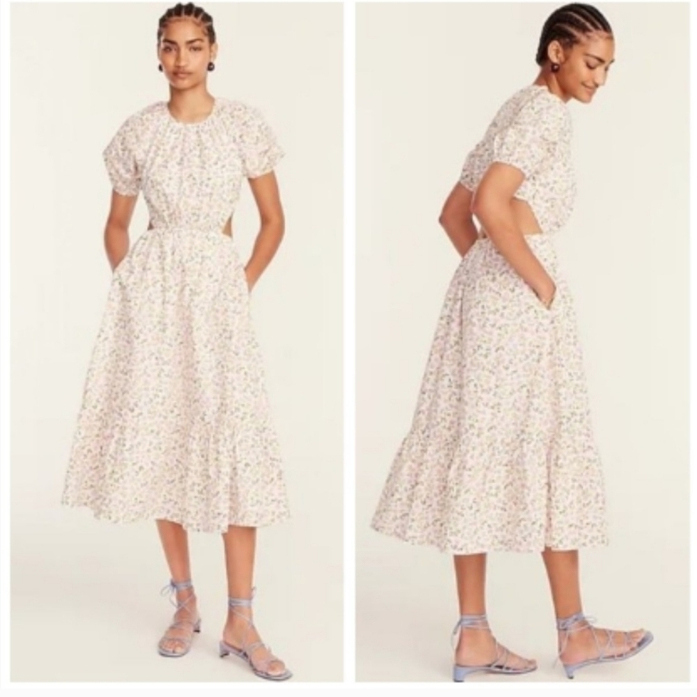 J Crew Side-cutout cotton poplin dress in meadow floral  Sz 2 NWT BG400